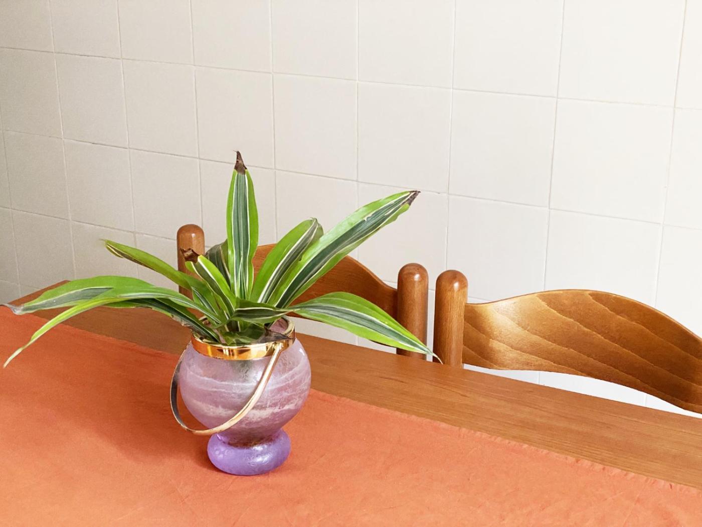 Tipico - Rione Xxii Apartment